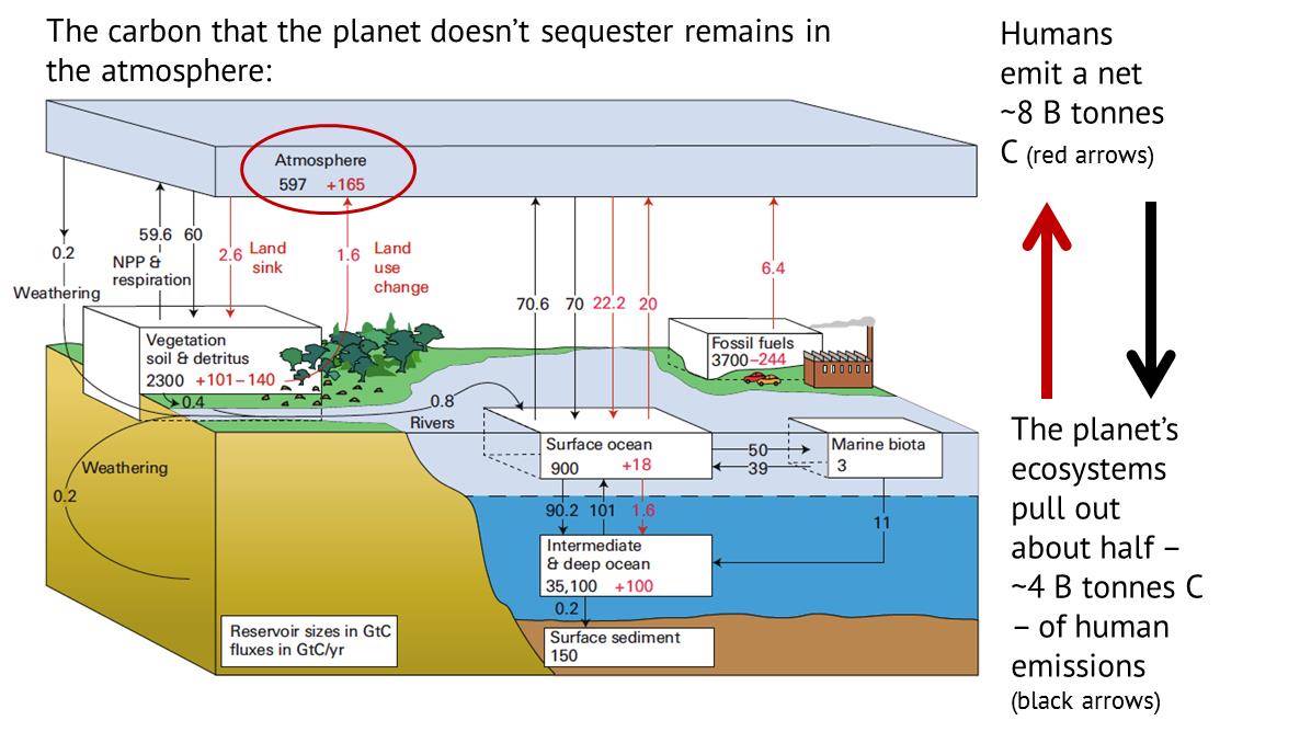 Carbon Sequestration Where Will All The Carbon Go